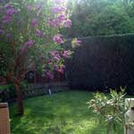 Gepflegter Garten