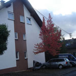 Immobilienbetreuung